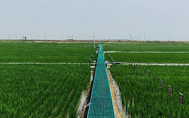 跟稻草人合影，咱不踩草坪好嗎？